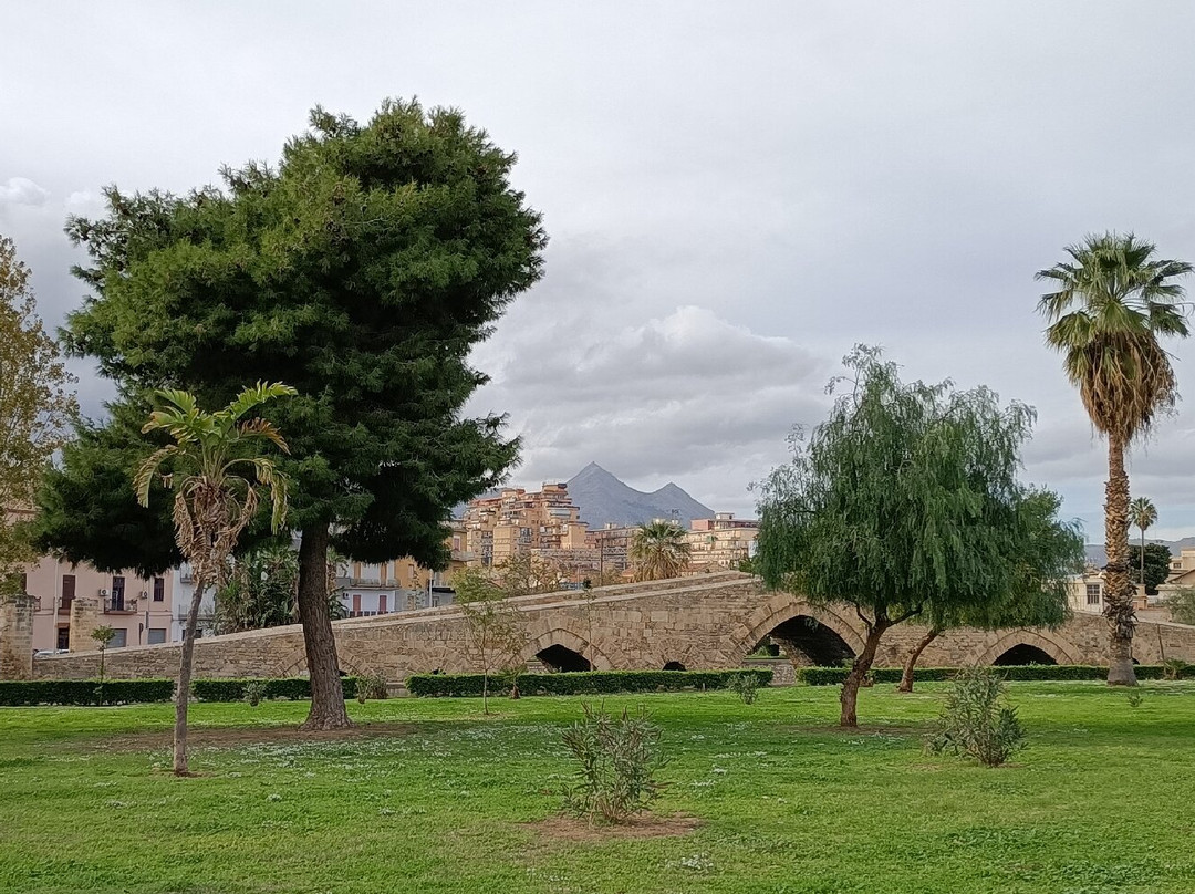 Ponte dell'Ammiraglio景点图片