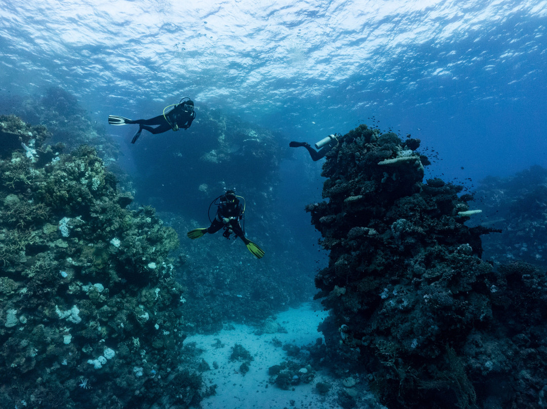 Wadi Lahami Diving Centre-Hamata and Berenice必去景点