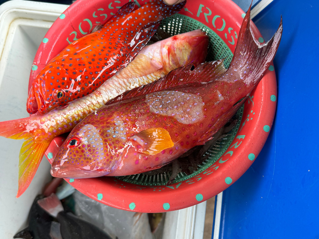 White Rose Guest House主图