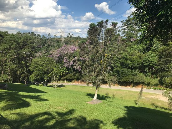 Milicia da Imaculada