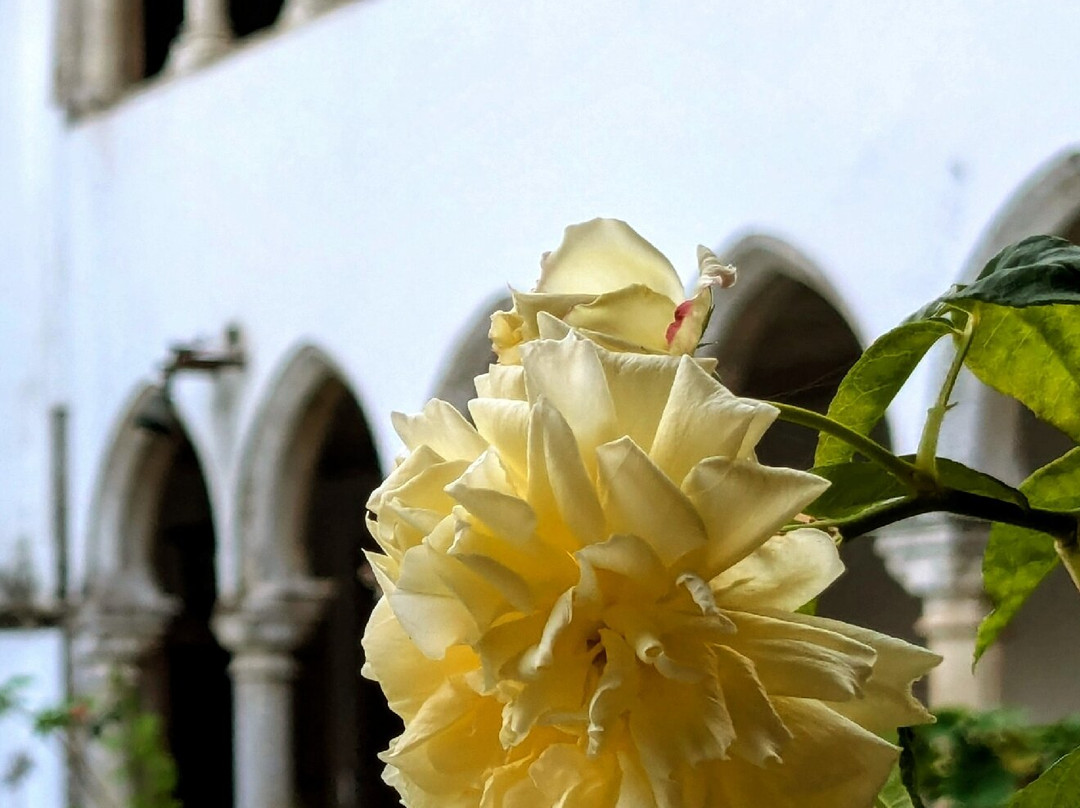 Convento de Santo António do Varatojo景点图片