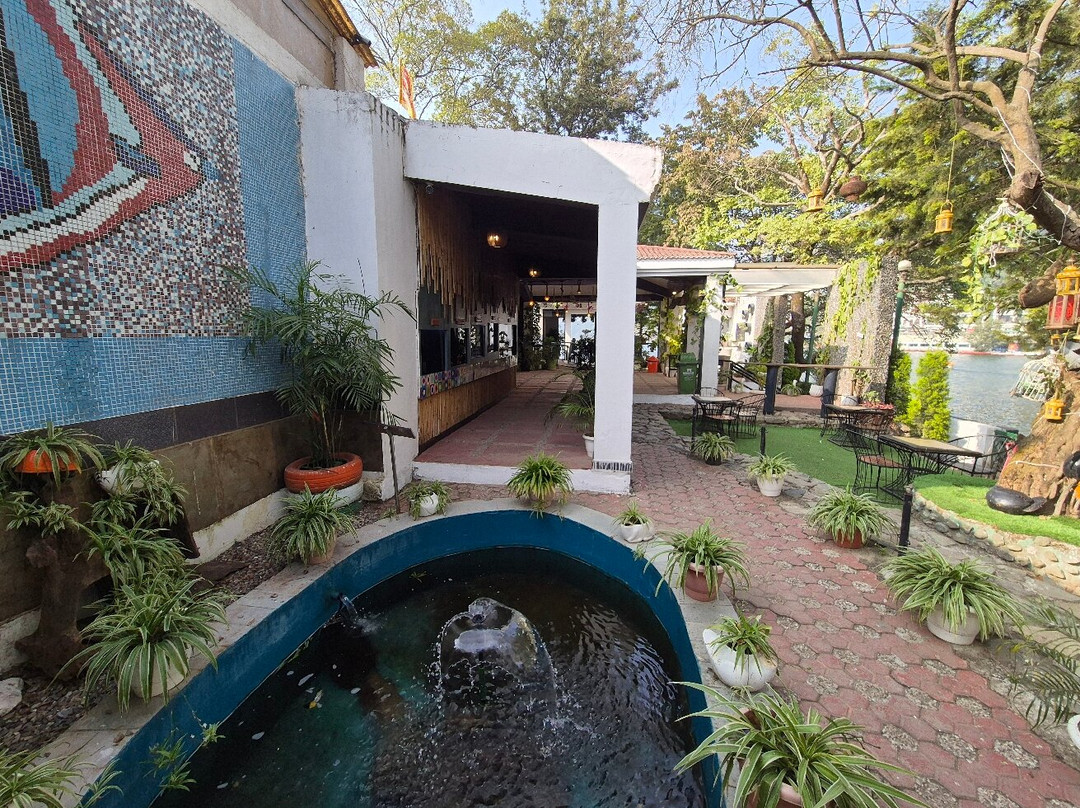 Aquarium Island Café景点图片