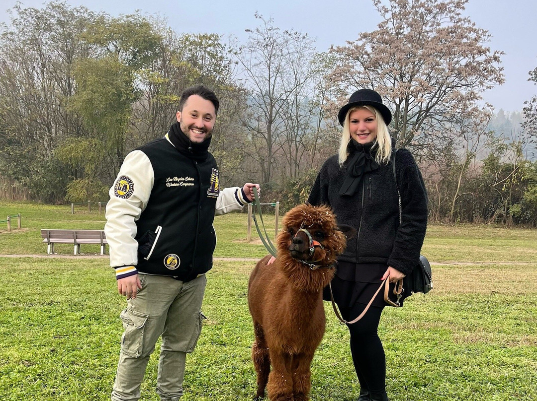 Alpacamp Il Campo Degli Angeli景点图片