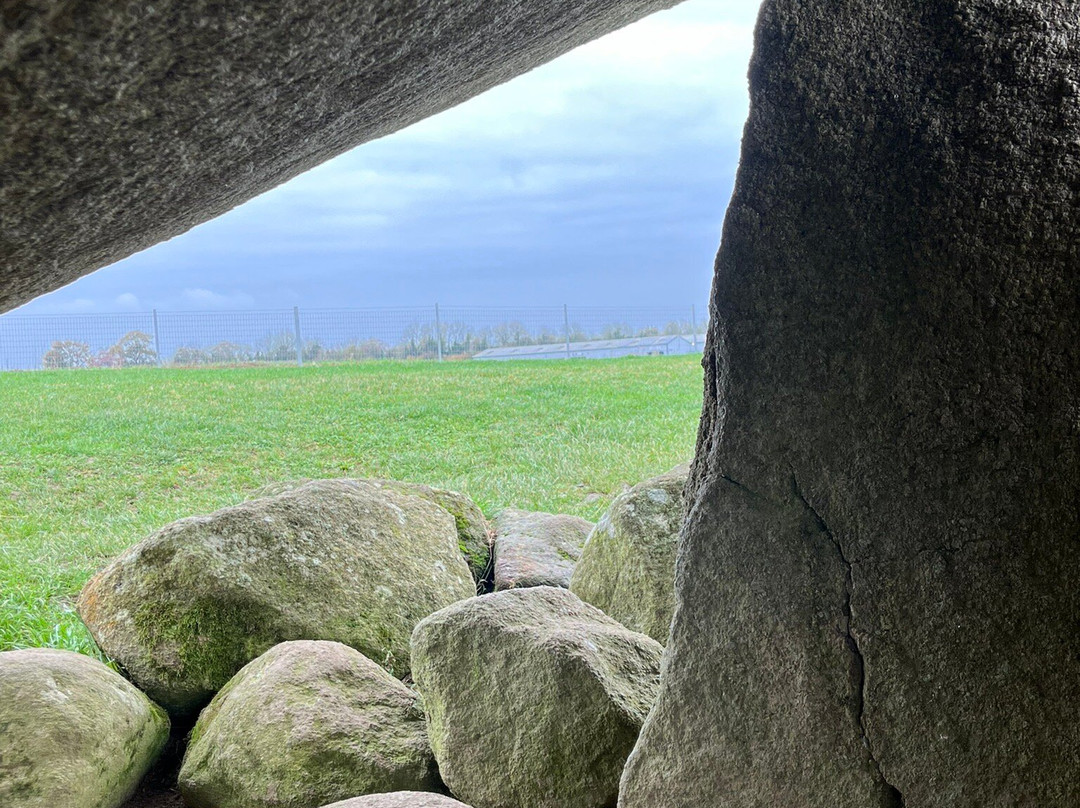 Brownshill Dolmen-Carlow必去景点
