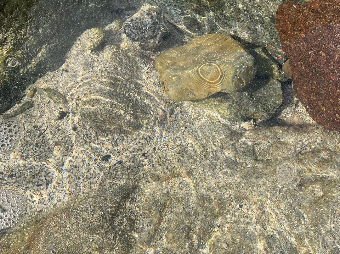 Divi Beach-Sint Maarten必去景点