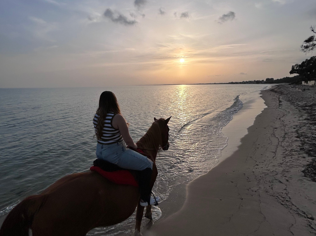 Club Equus Hammamet-哈玛麦德必去景点