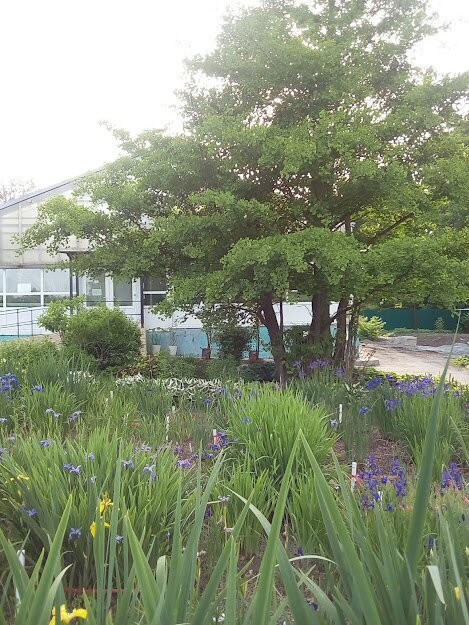 Botanical Garden-Institute景点图片