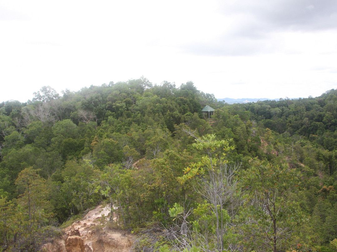 Bukit Shahbandar Forest Recreation Park景点图片