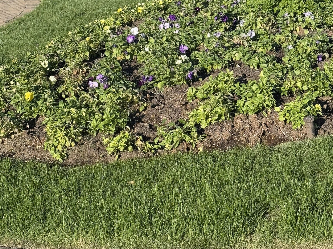 National Memorial for Peace and Justice-蒙哥马利必去景点