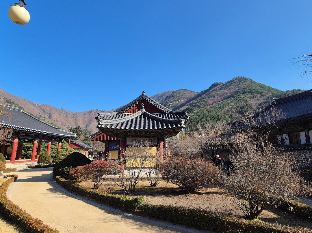 Unmunsa Temple-清道郡必去景点