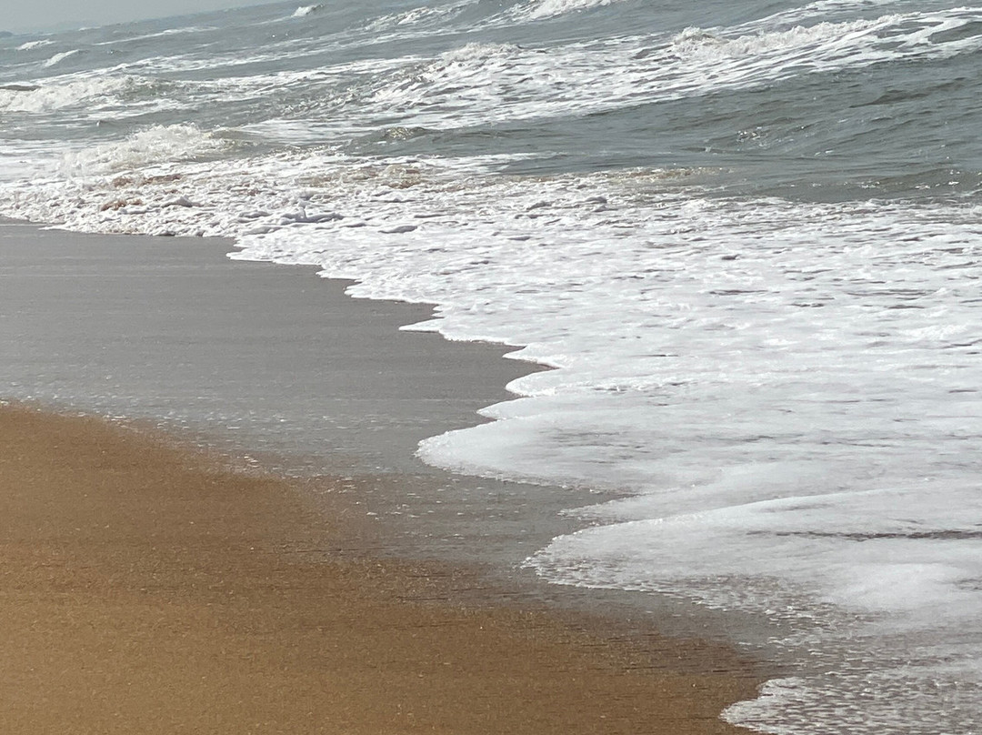 Amith Tours & Travels-班托塔必去景点