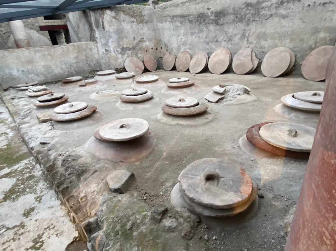 Antiquarium of Boscoreale景点图片