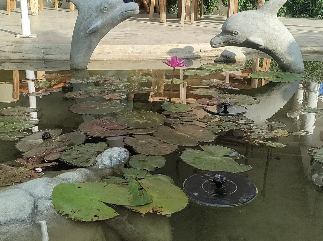 Matsya Island Retreat主图