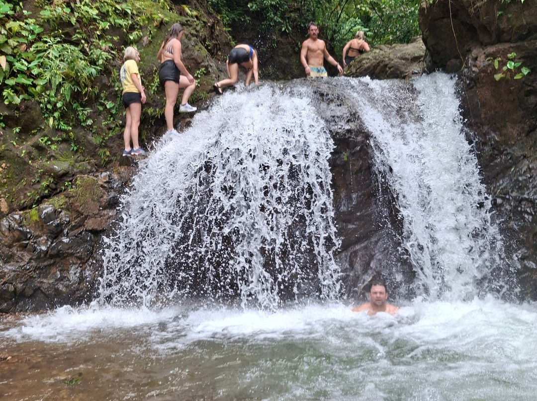 Emanuel waterfalls tours景点图片