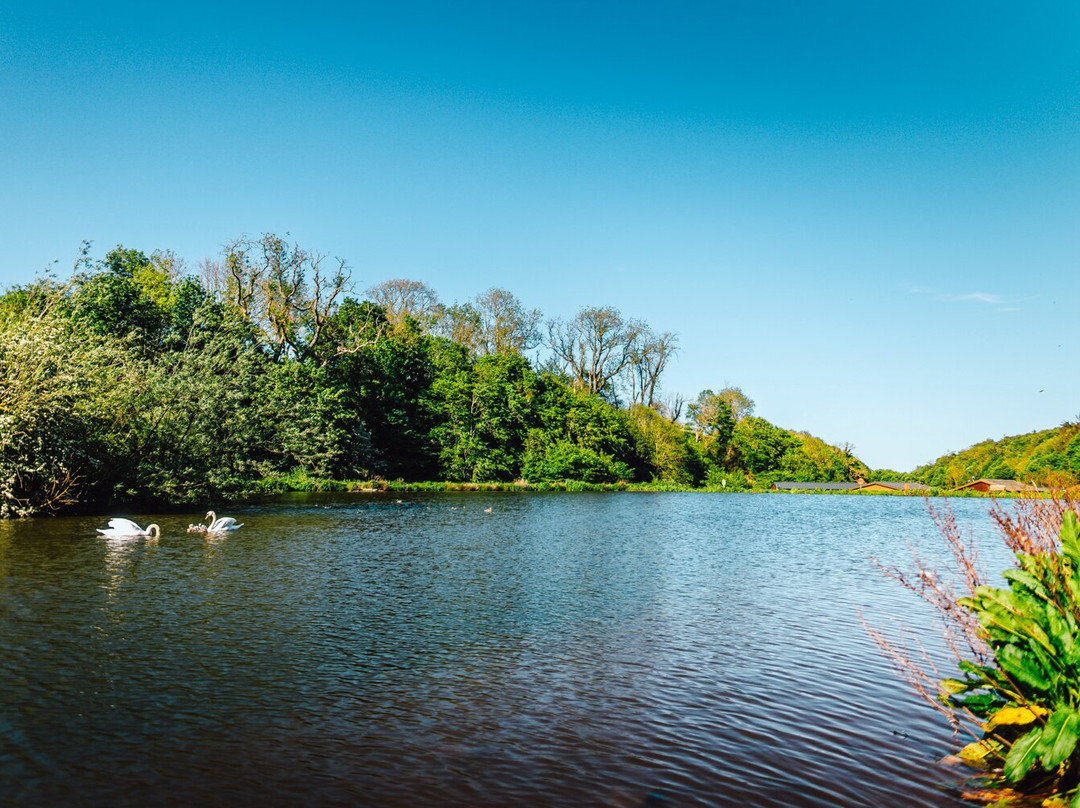 Thurston Manor Holiday Park