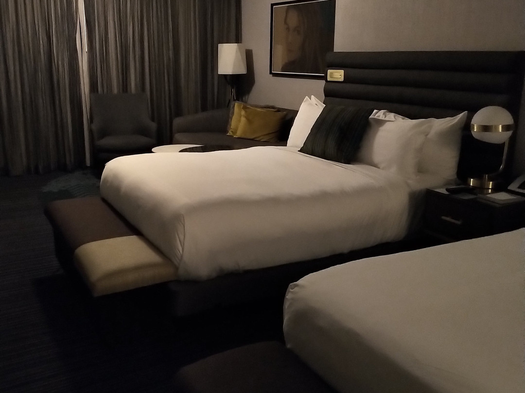 拉斯维加斯大都会酒店主图