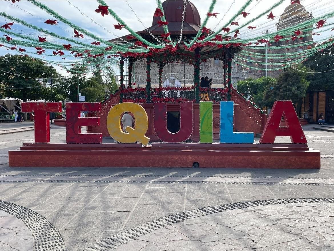Plaza Jardin-官方