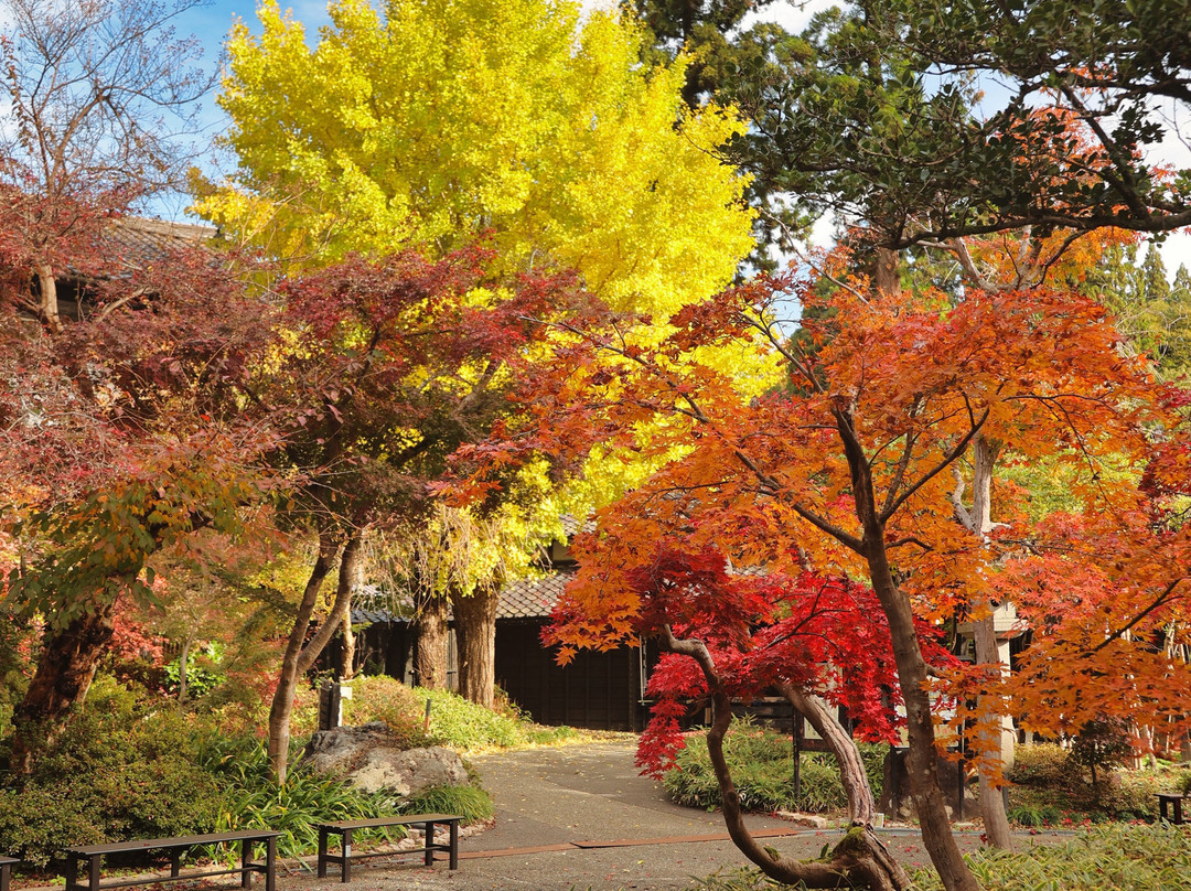 Nakano-tei Museum of Art-新泻市必去景点