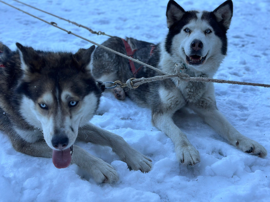 Kinadapt-Rawdon必去景点