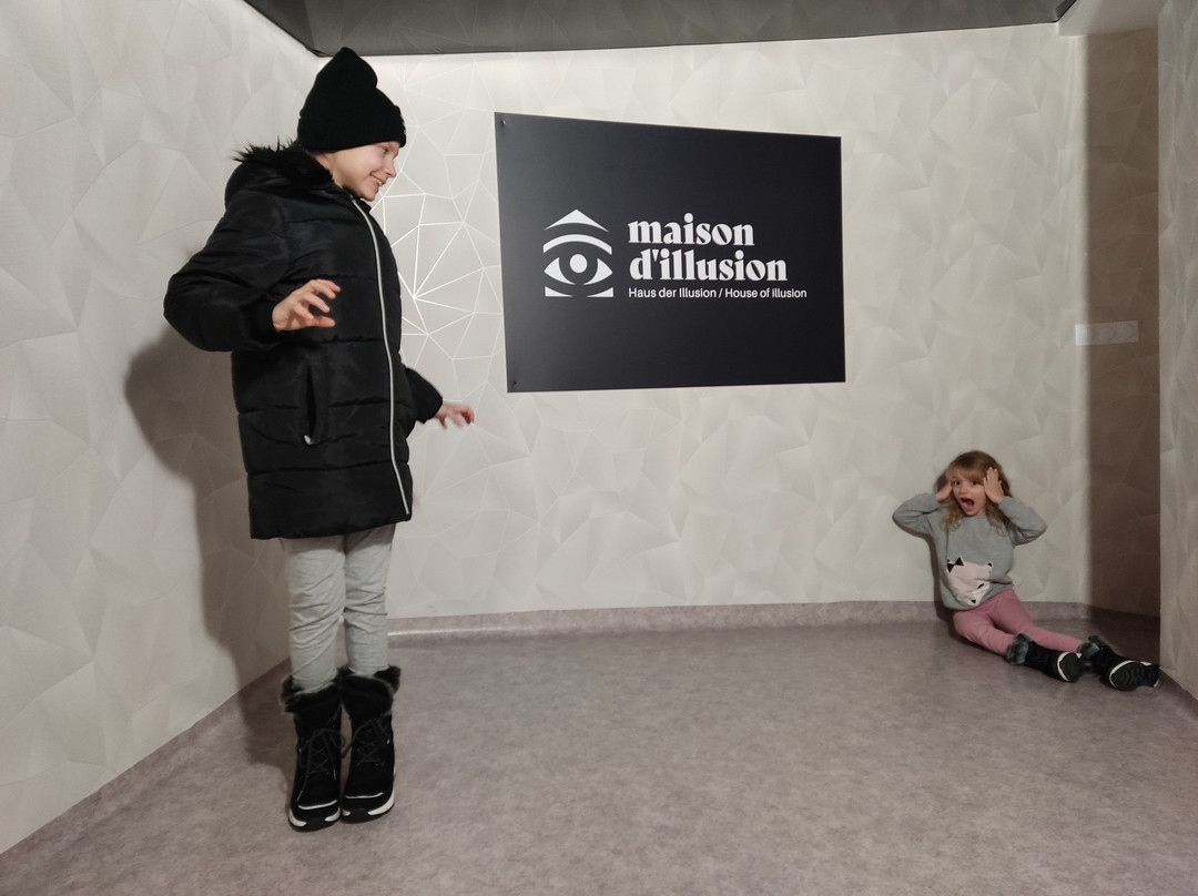 Maison D'illusion景点图片