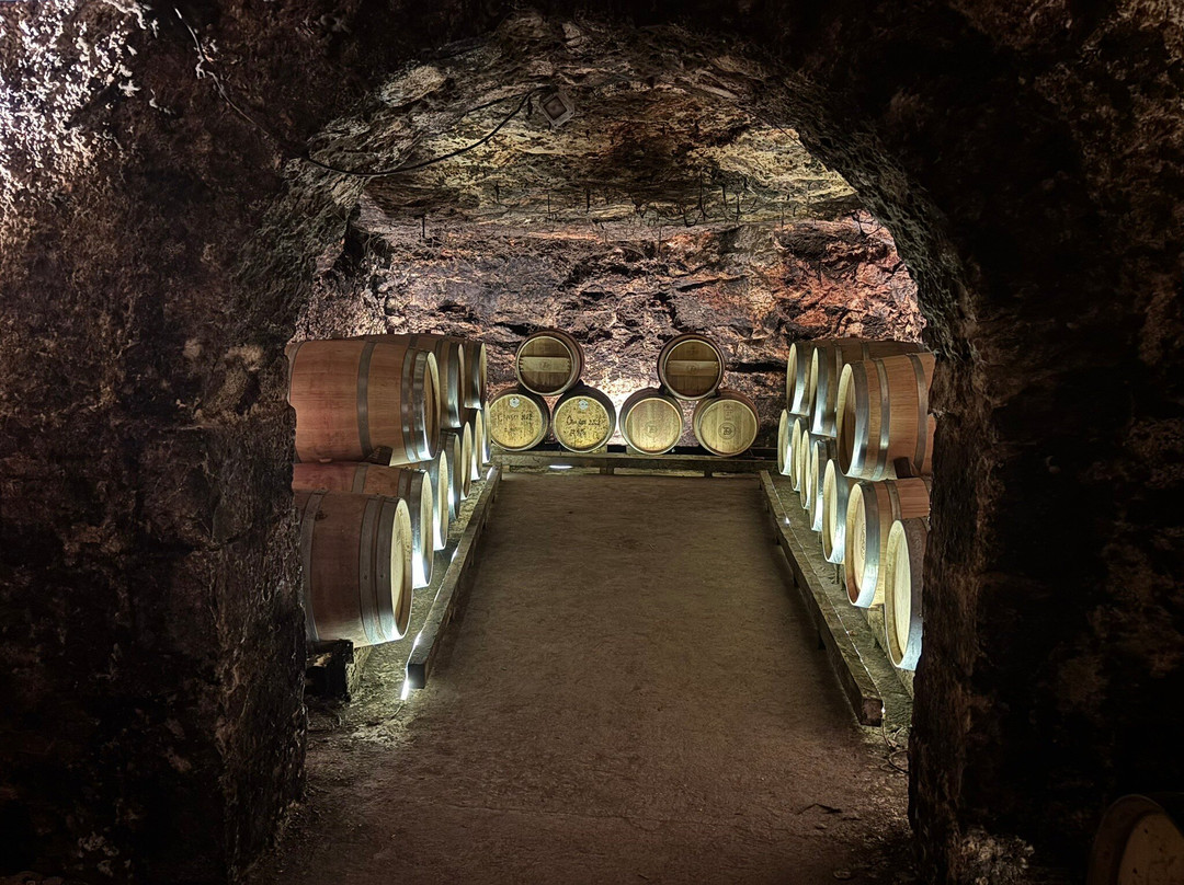 Bodegas Jesus Diaz e Hijos-Colmenar de Oreja必去景点