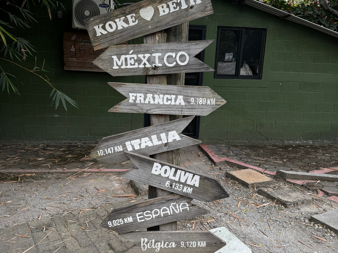 Huayacán Cuernavaca Curamoria Collection主图