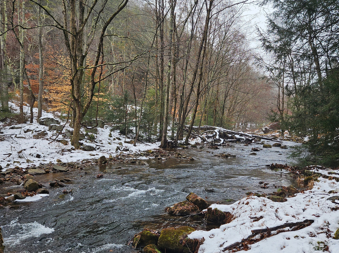 Hickory Run State Park景点图片