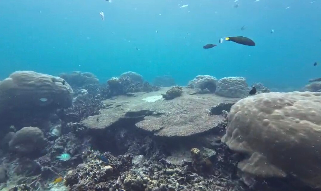 Sutera At Mantanani主图