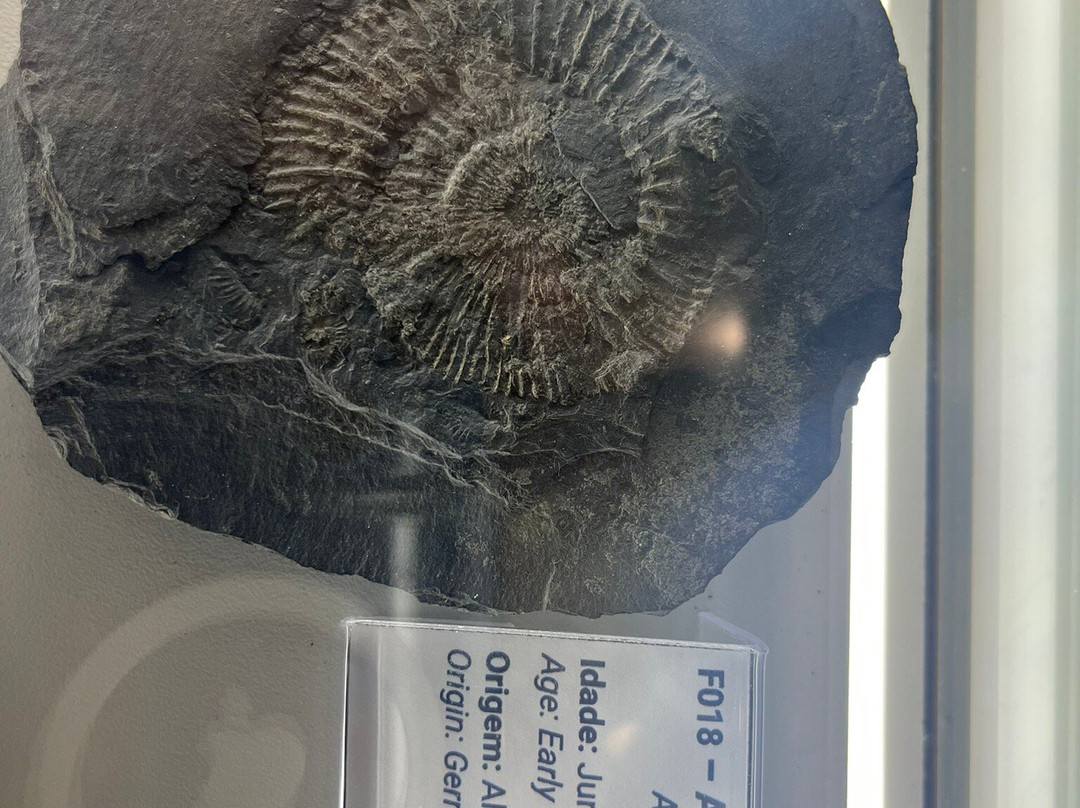 Museu Sincorá-雷恩克斯必去景点