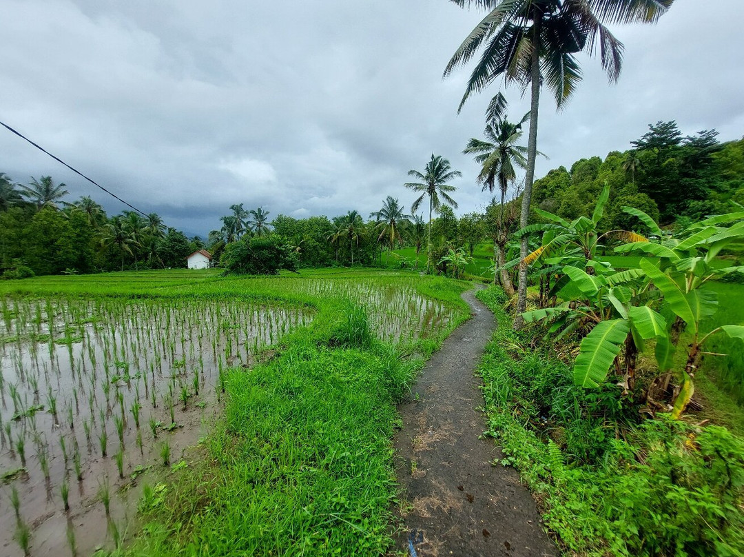 2 Bali Melali (trails And Lunch)景点图片