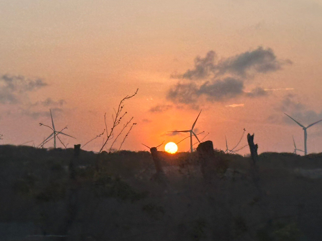 Aloha Experience-Mossoro必去景点