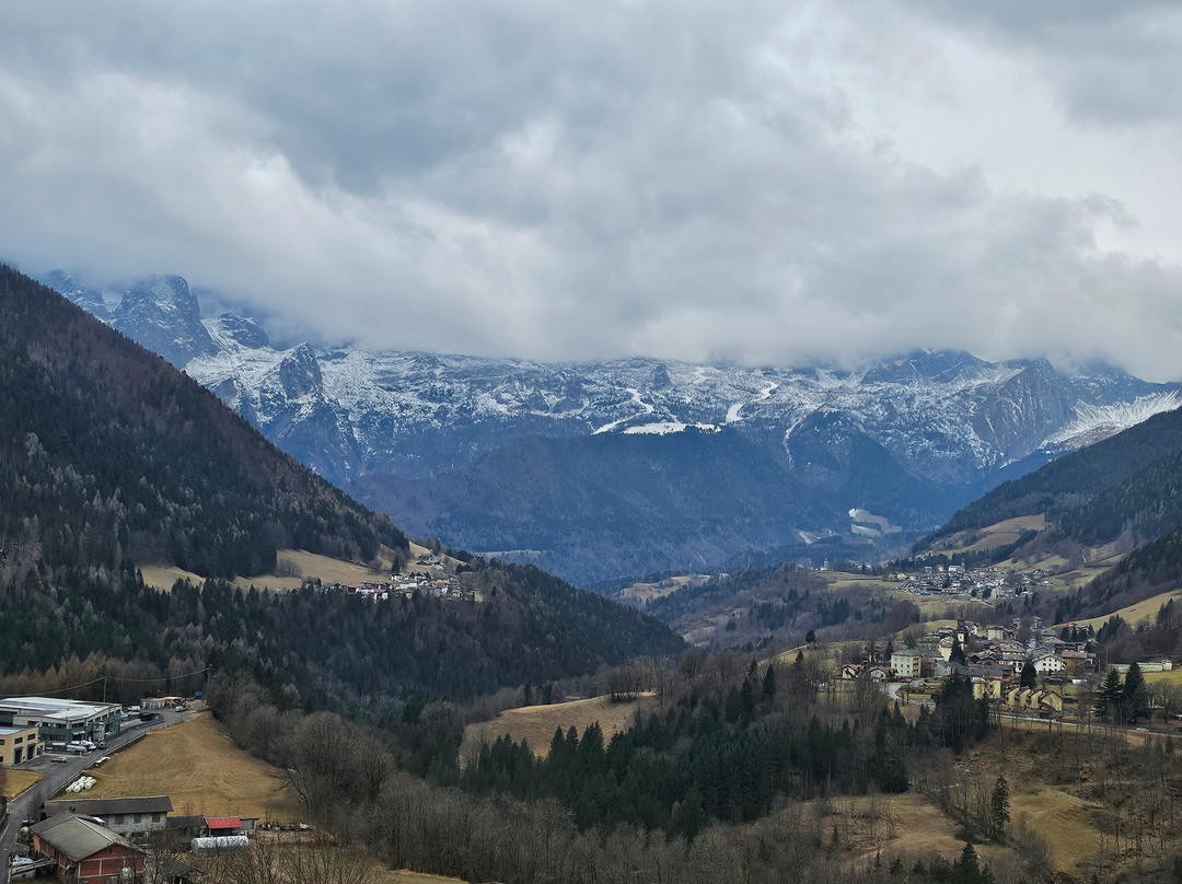 Albergo Pineta主图