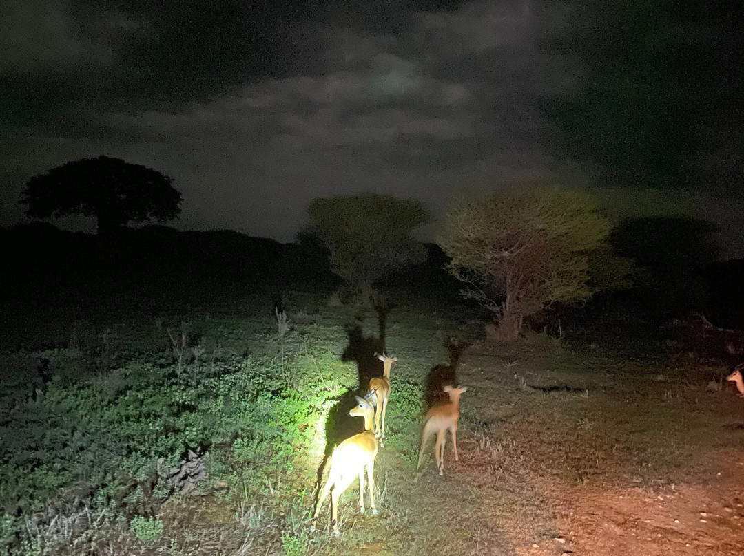 GREAT MINDS TOURS & SAFARI-Dar es Salaam必去景点