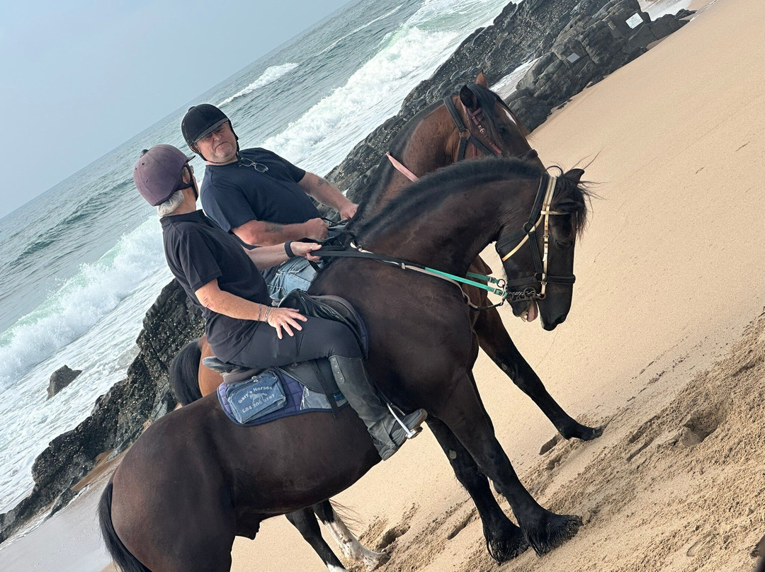 Gary's Horses景点图片