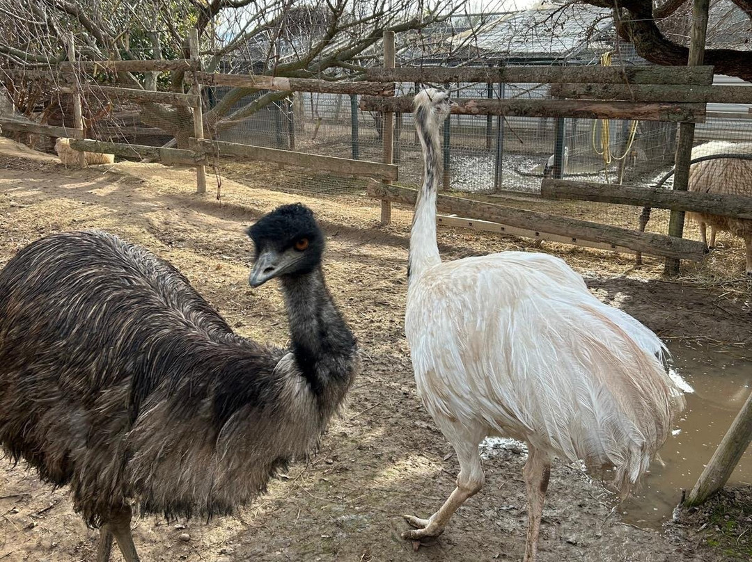 Núcleo Zoológico Iris-Barbastro必去景点