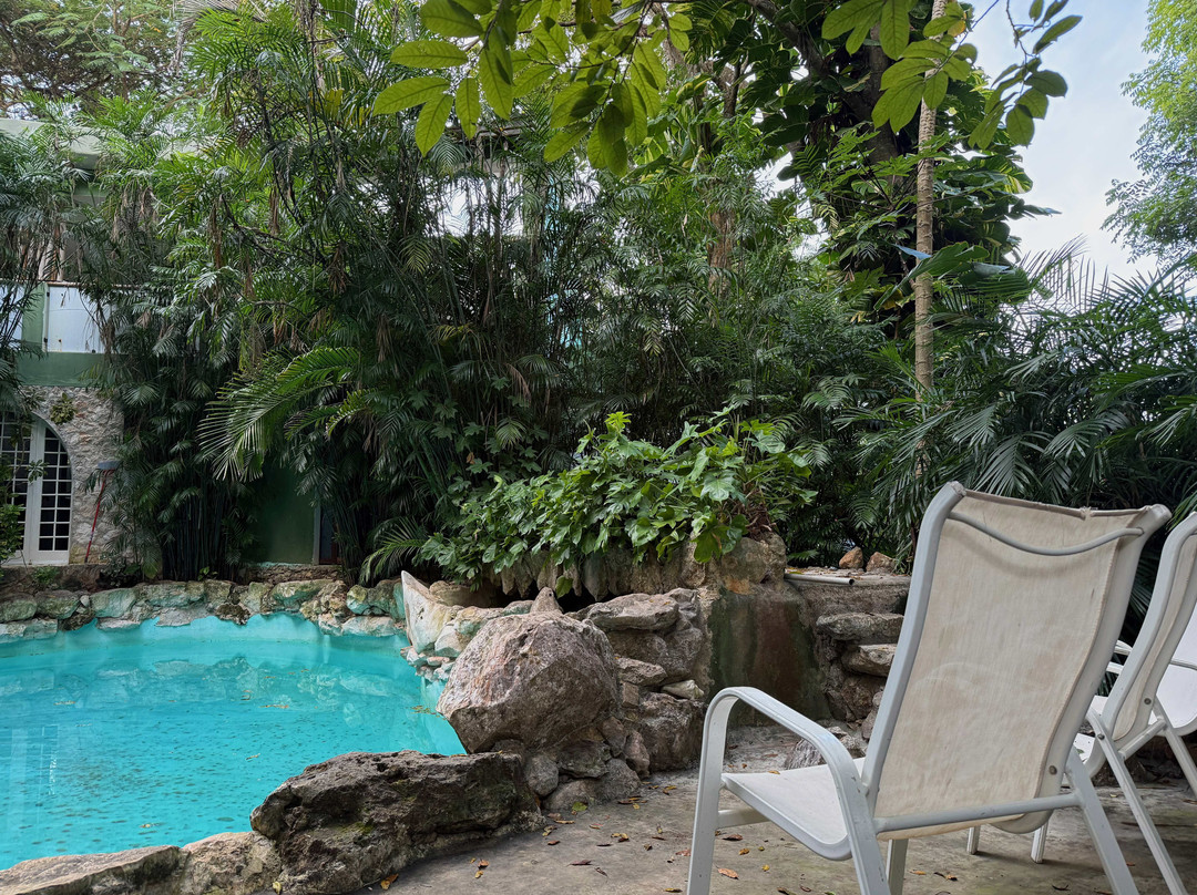 Genesis Eco Oasis主图