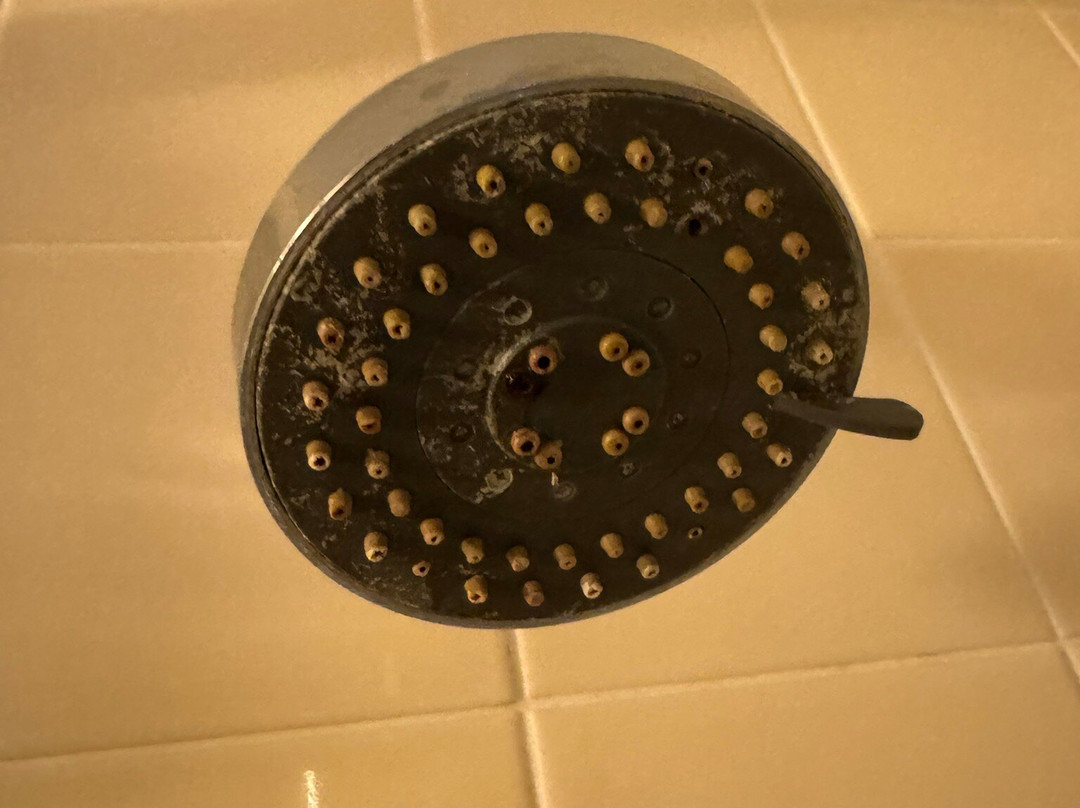 The Grenfell Arms主图