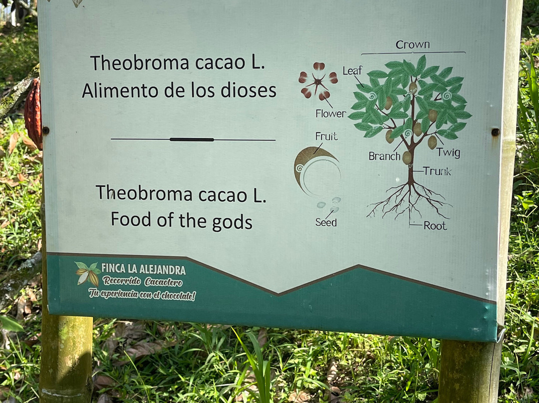 Finca la Alejandra-Montenegro必去景点