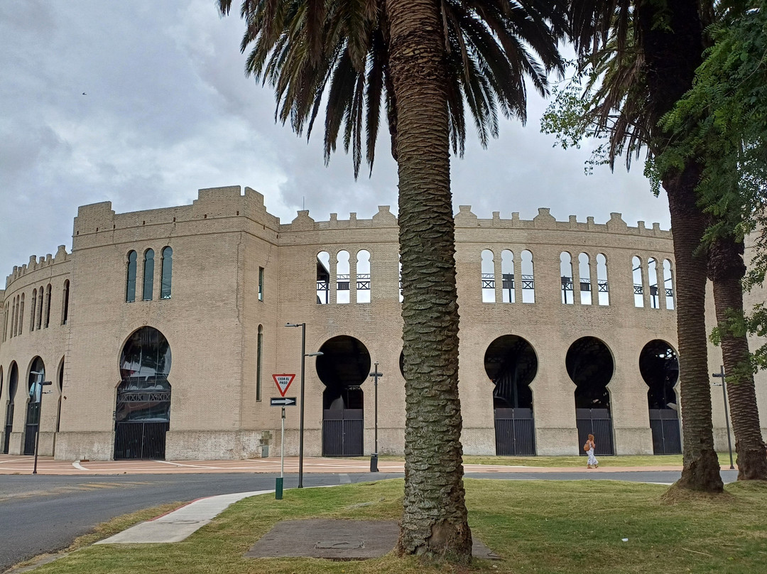 Plaza de toros Real de San Carlos-科洛尼亚·德尔萨克拉门托城必去景点