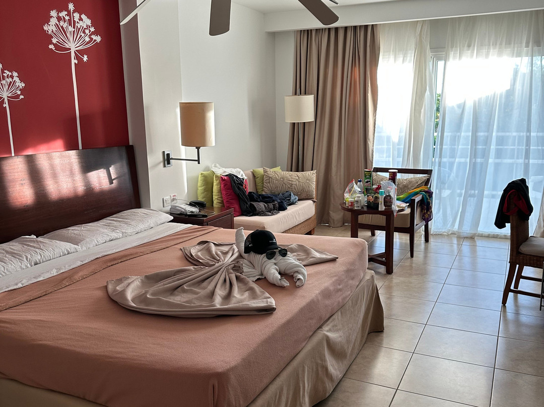 Valentin Perla Blanca主图