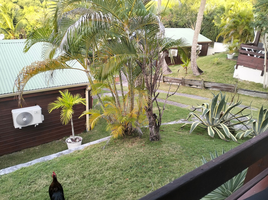 Ti'Village Creole主图