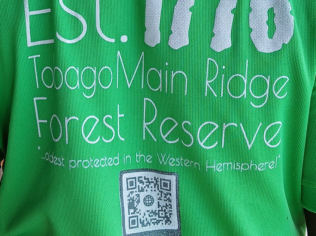 Tobago Forest Reserve-多巴哥必去景点