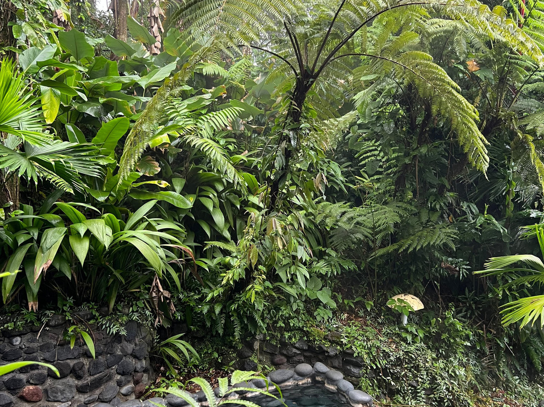 Eco Termales景点图片