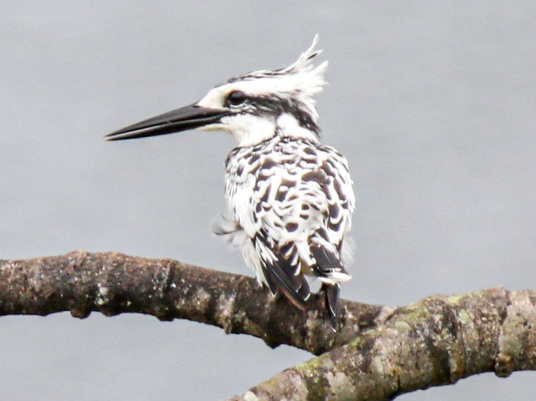 Gabon Highlights Tourism