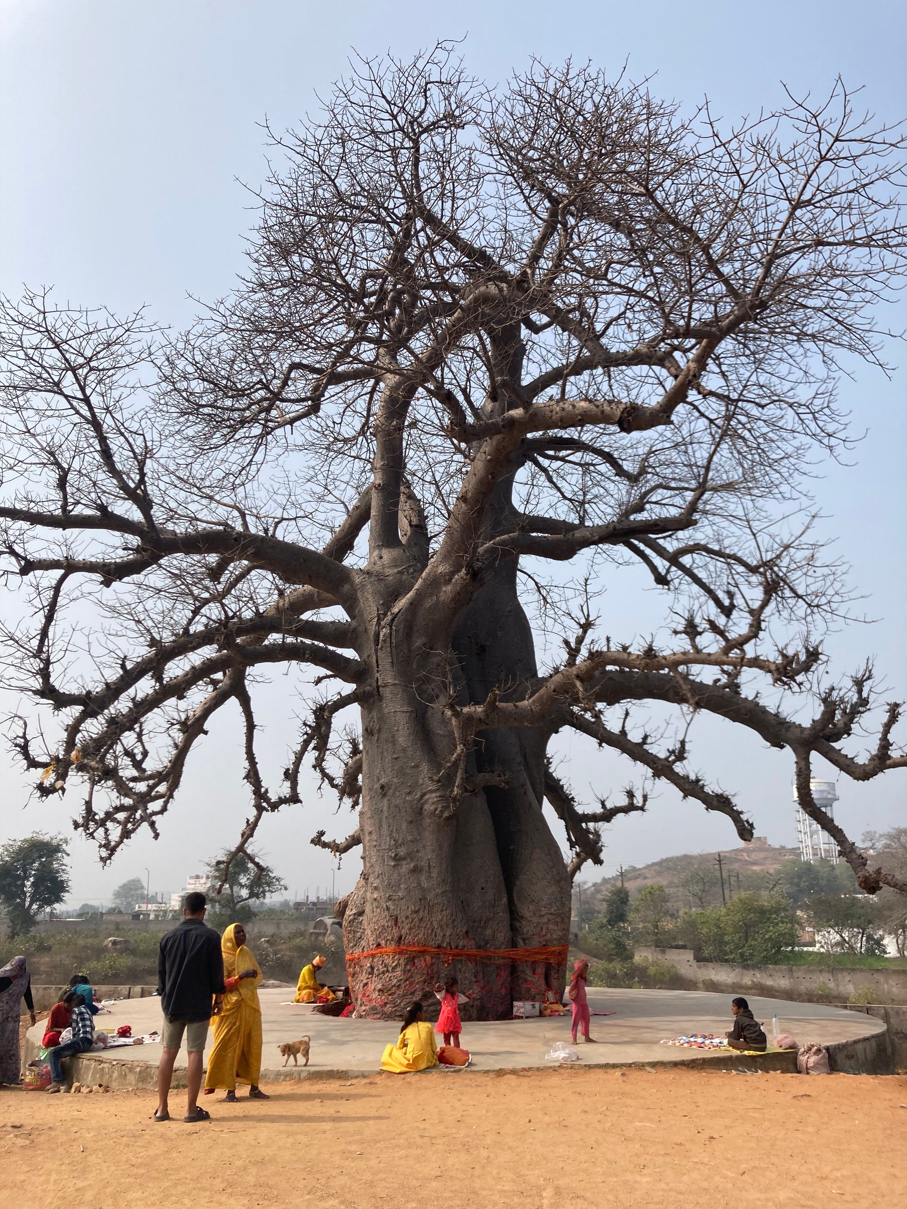 Friends of Orchha-官方