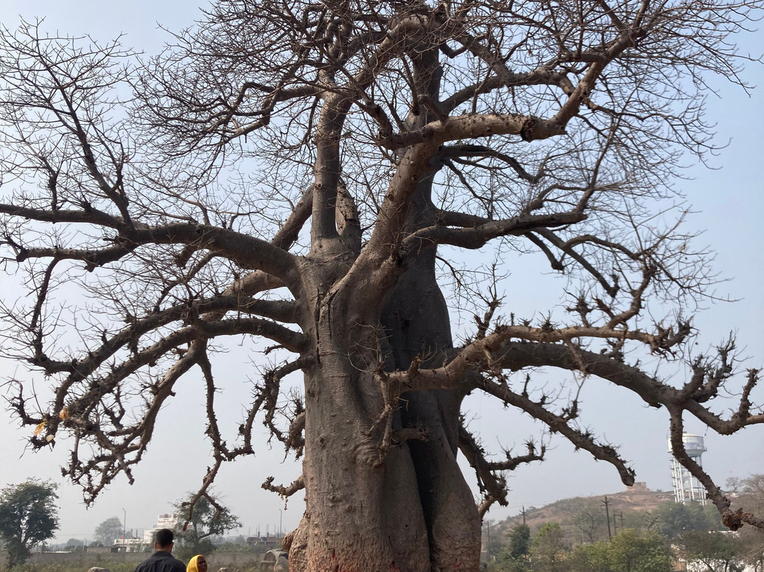 Friends of Orchha主图