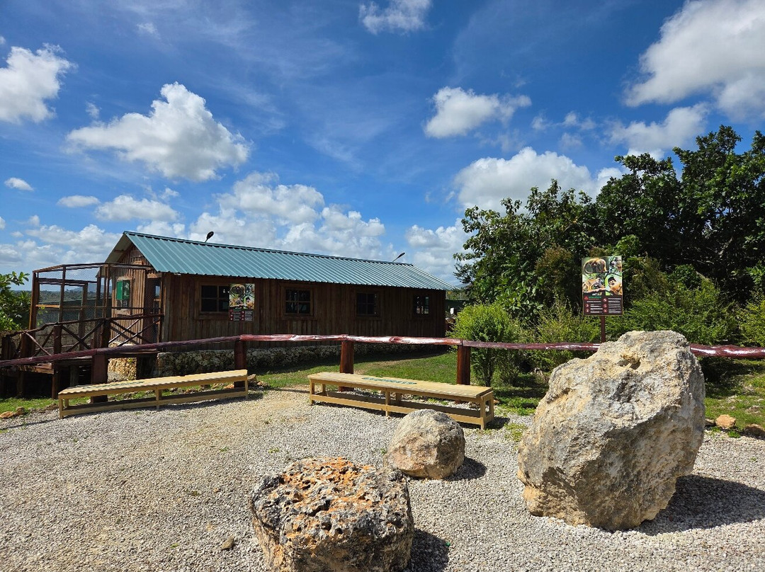 Evolution Adventure Park-蓬塔卡纳必去景点