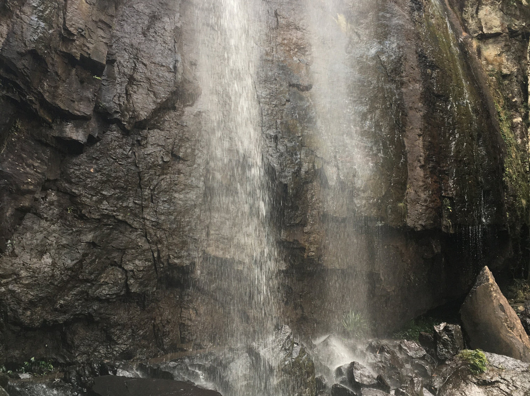 Blackfellow Falls景点图片