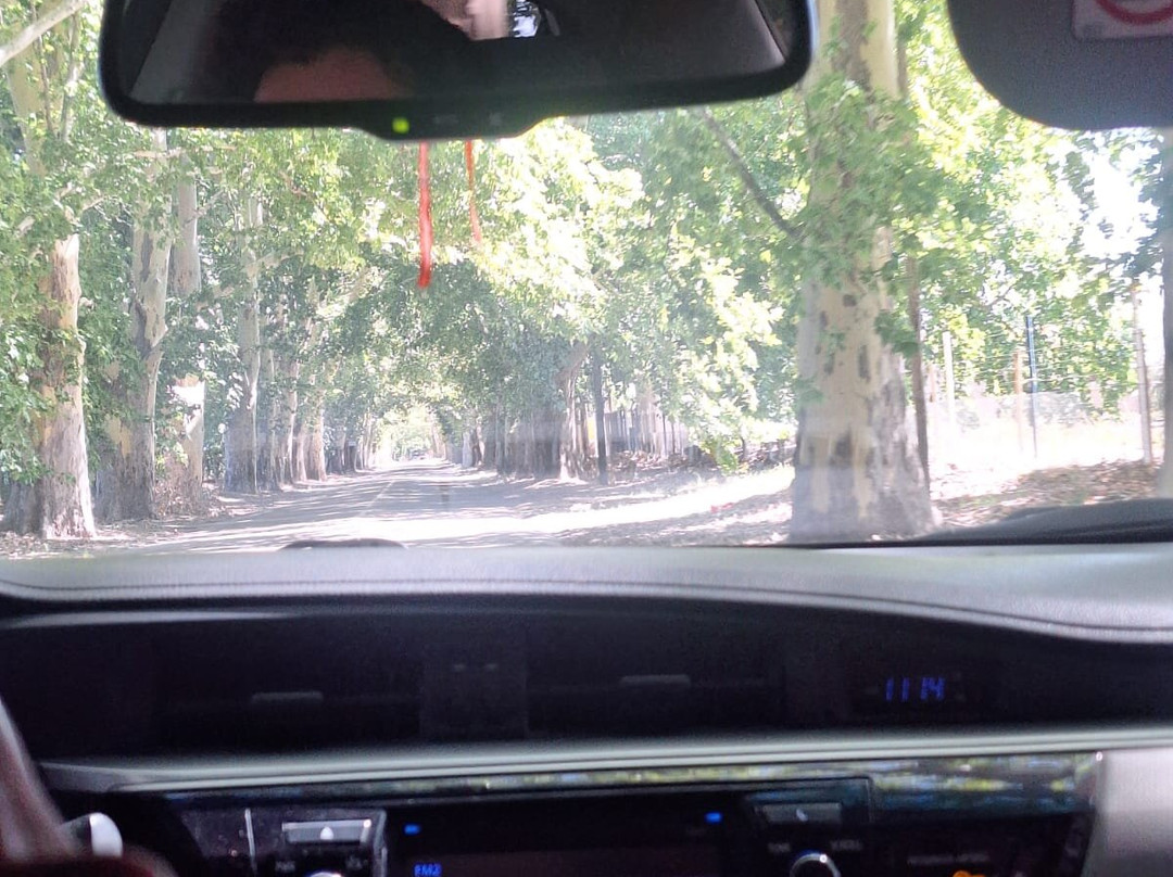 VITIS TRAVEL-门多萨必去景点