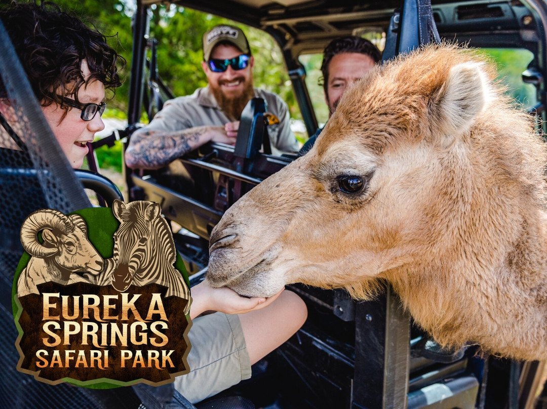 Eureka Springs Safari Park-Eagle Rock必去景点